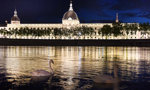 Le Grand Hotel Dieu à Lyon